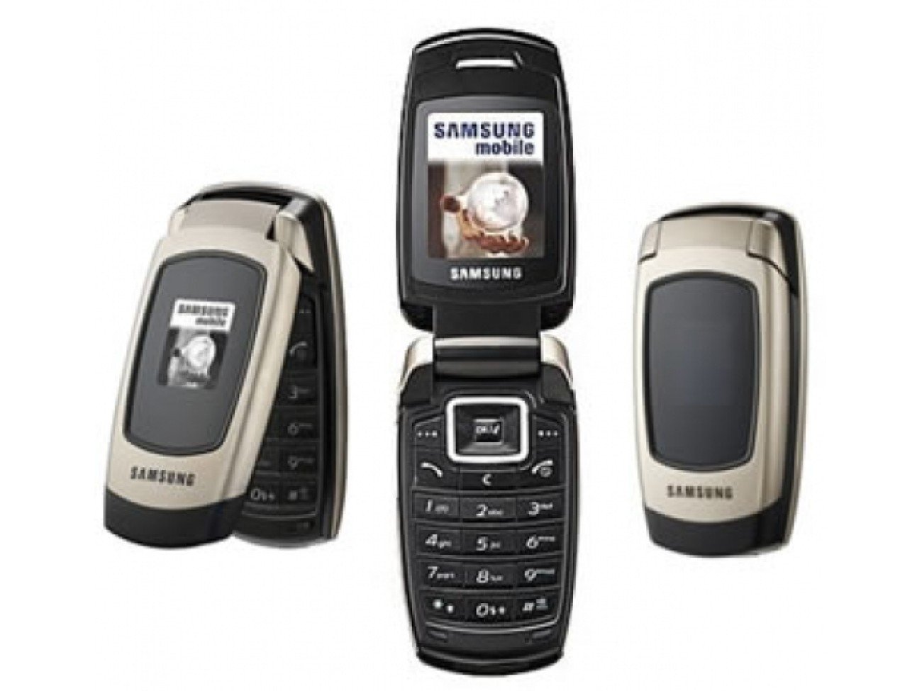 2773_6140_NORMAL_size_5.jpg X500 - الصورة 1