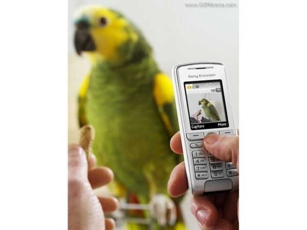 ⁦K310⁩ - الصورة ⁦2⁩