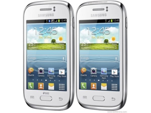Galaxy Young S6310